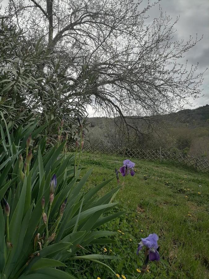 Apartma Suzy Pobegi Esterno foto